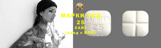 молекула духа Няндома