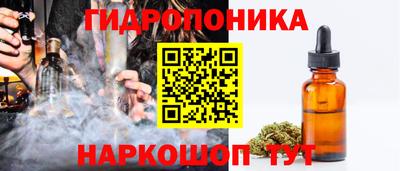 spice Кинель