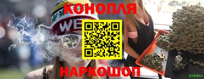 spice Кинель