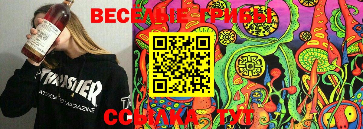 Псилоцибиновые грибы мицелий Пыть-Ях