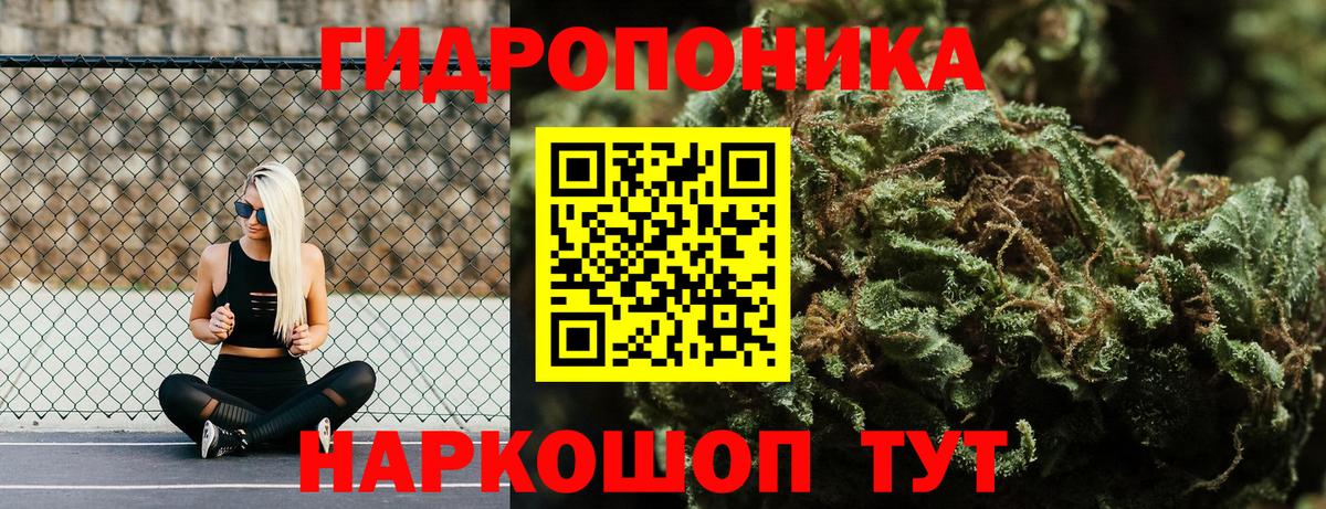 Каннабис сатива Пыть-Ях